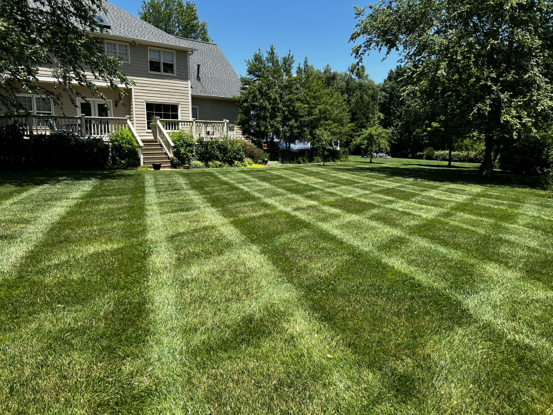 elm-lawn-care-lawn-after-pic-2.26.26_800px.png