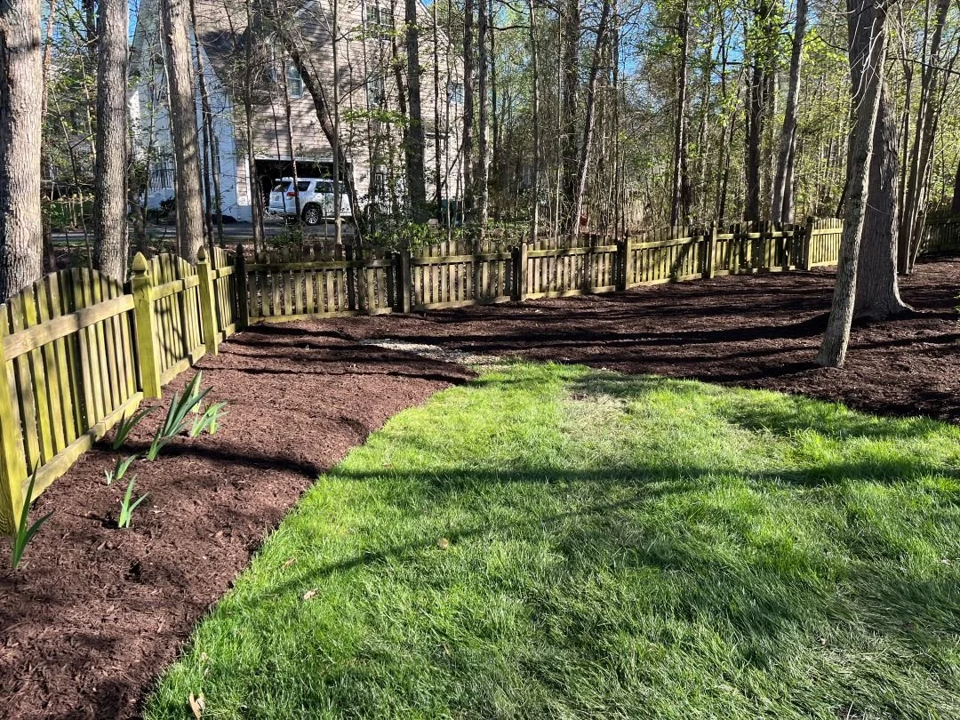 IMG_5432 (1)_mulch larger pic_1080p.jpg