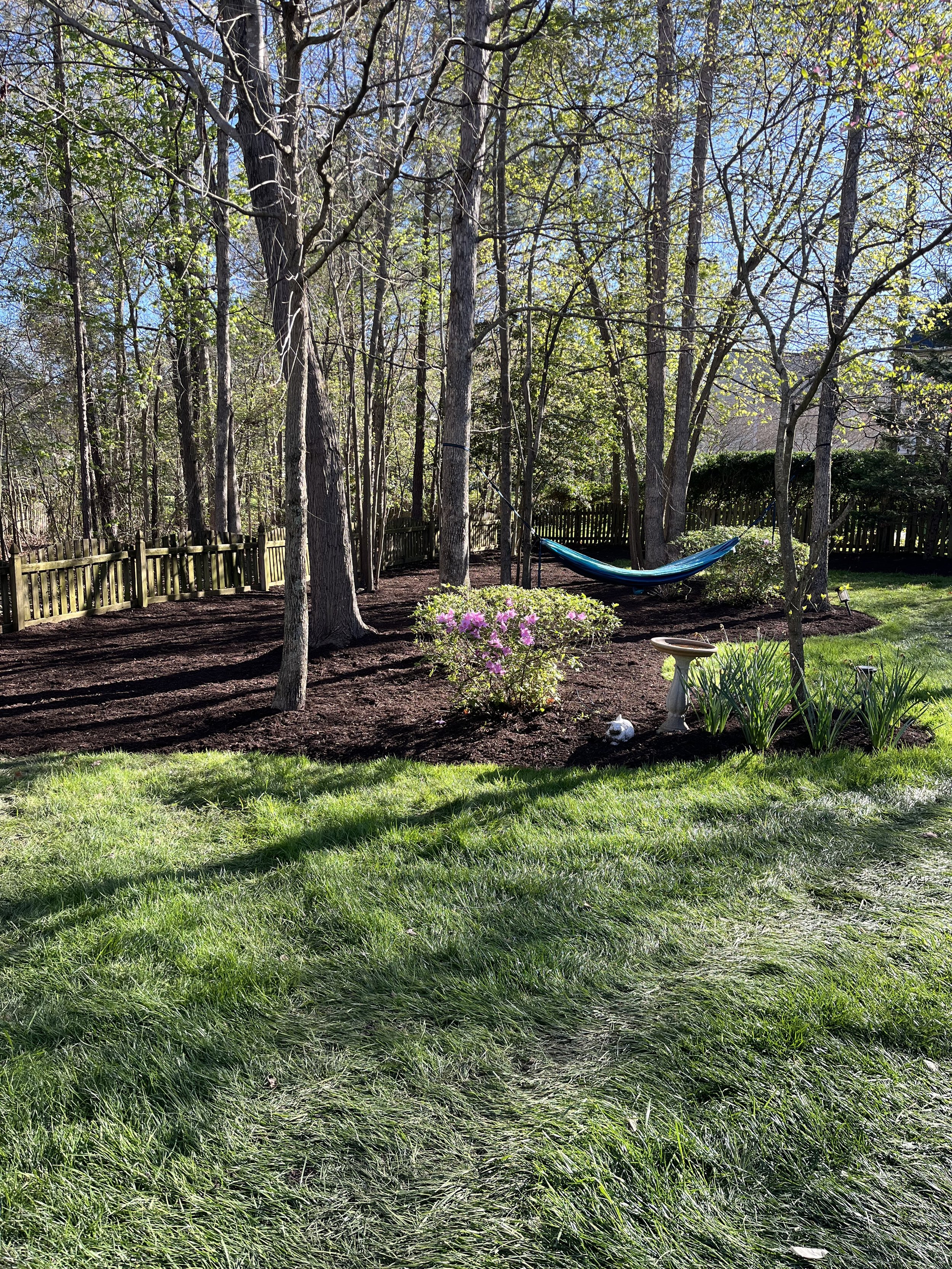 IMG_5430 (1)_mulch large pic.jpg