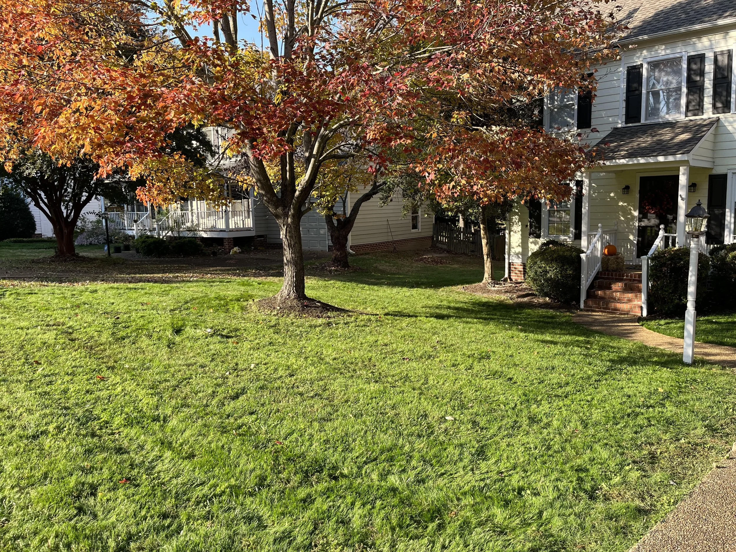 Property cleanup: after