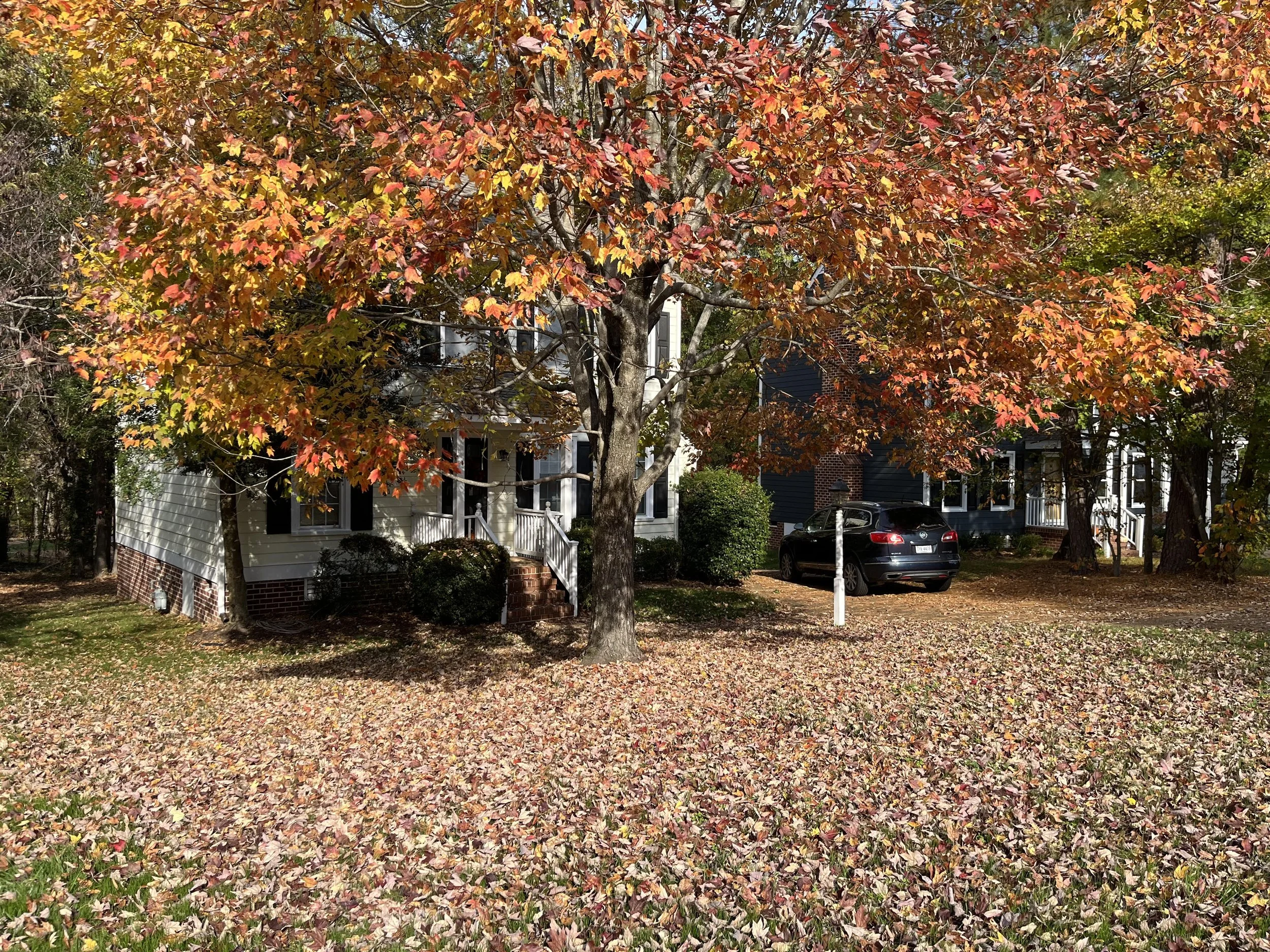 Property cleanup: before