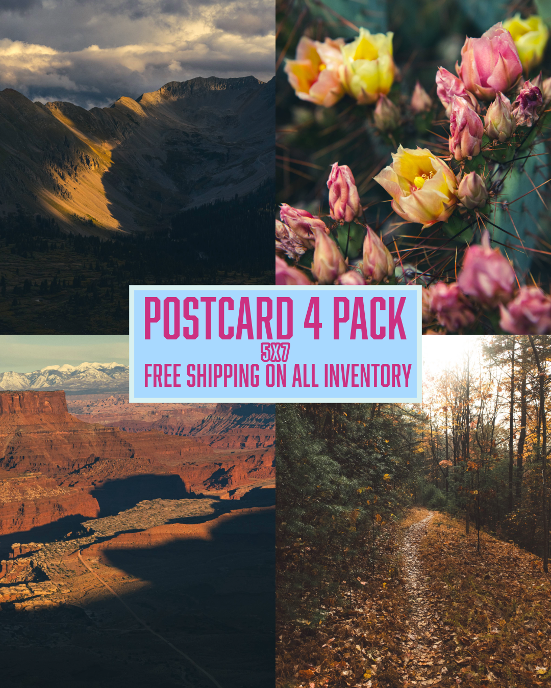 4 pack postcards ( 5 x 7)