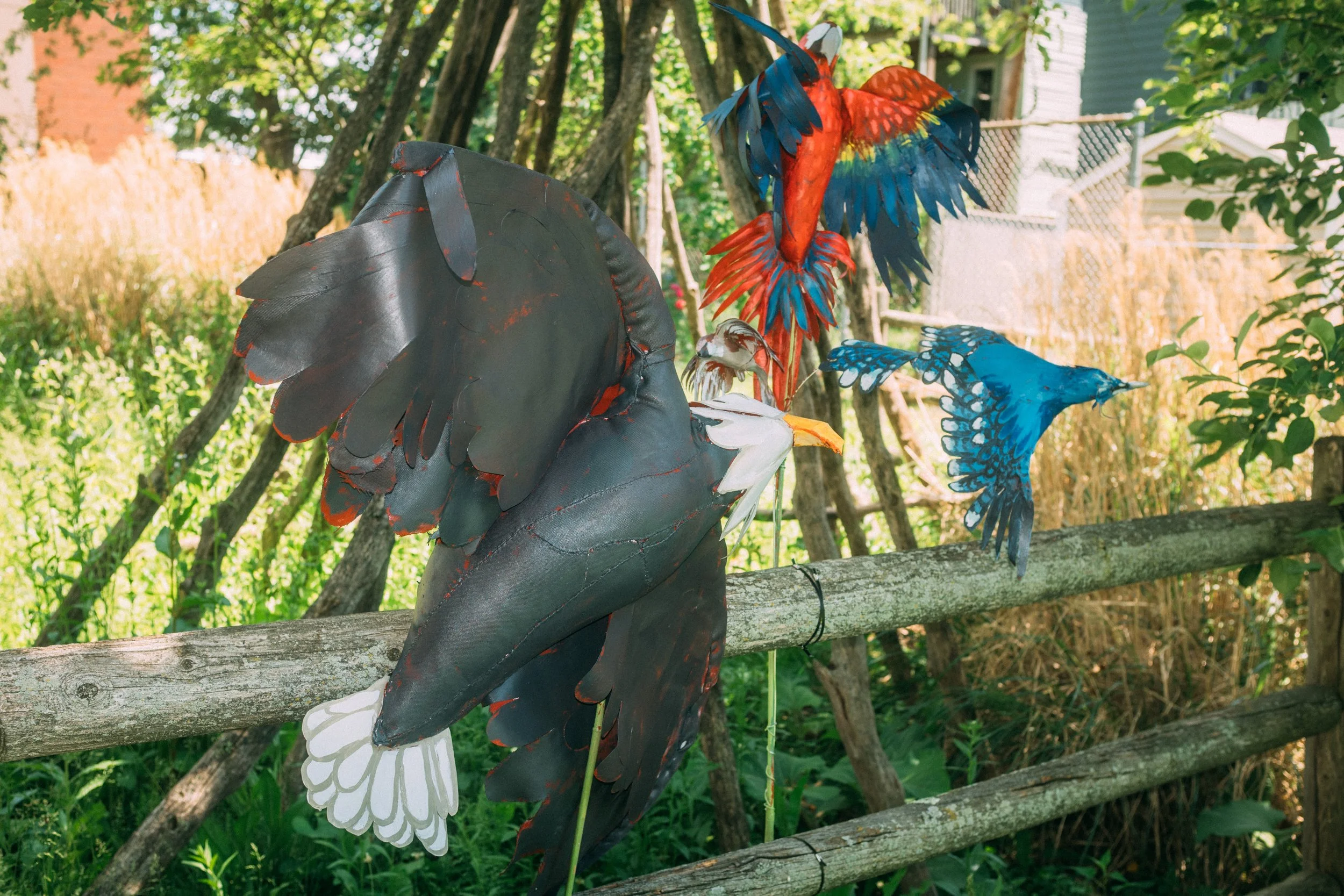 DSCF4808.jpg