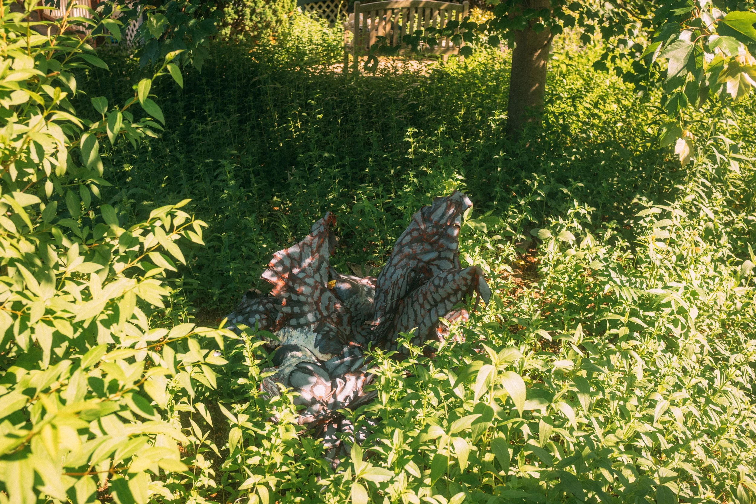 DSCF4895.jpg