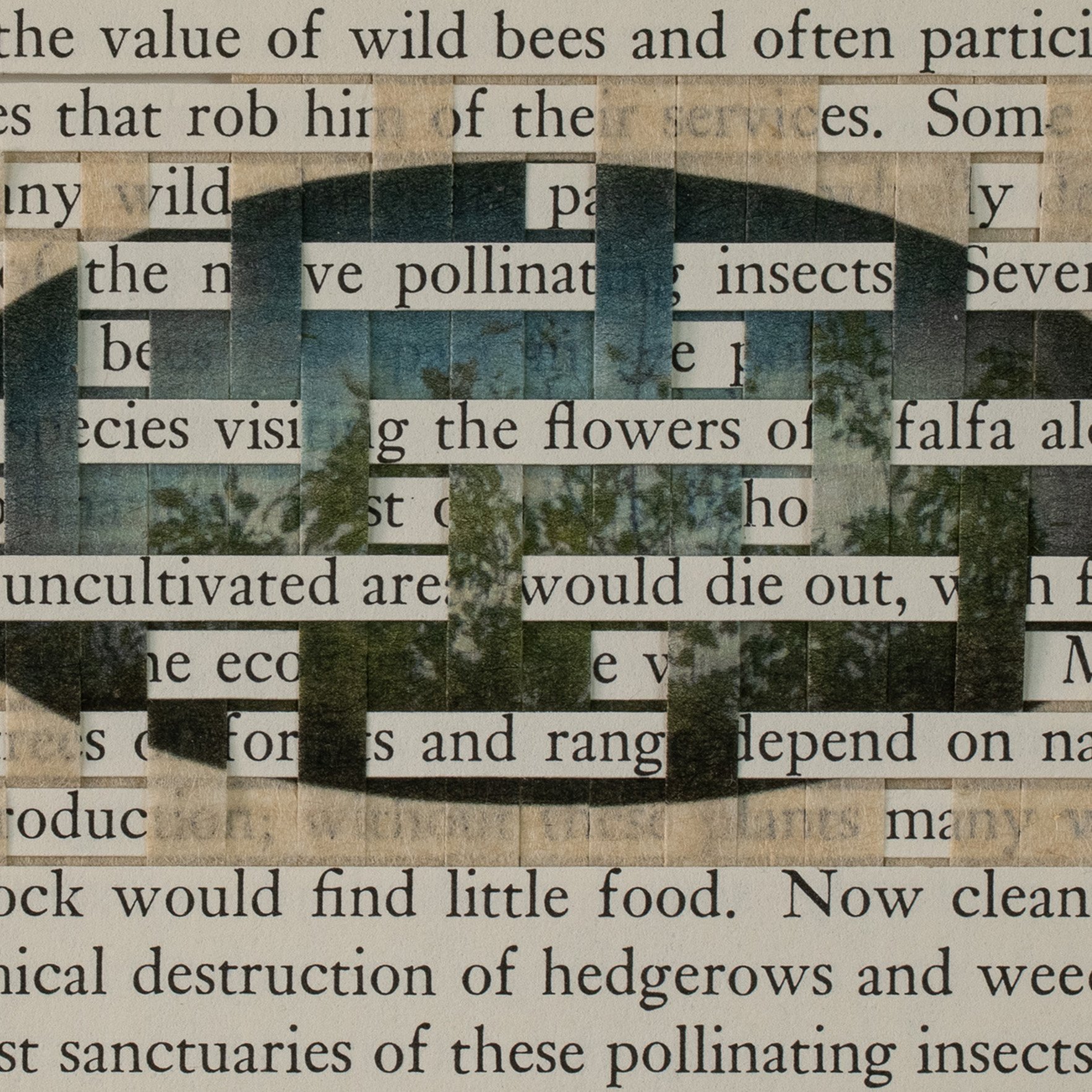 Altered Book Pages 2025-2026