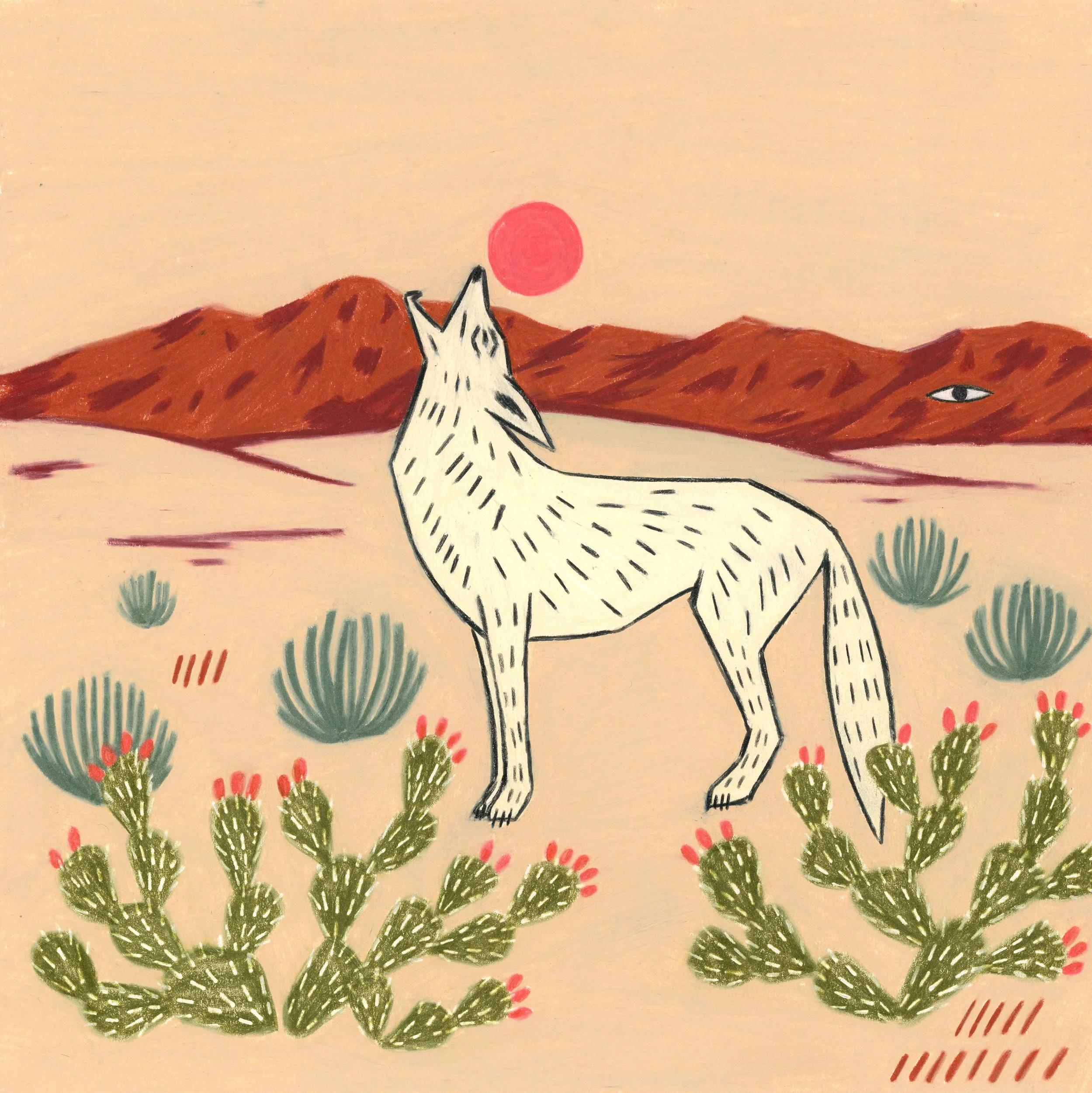 coyote + prickly pear_8.5x8.5.jpg