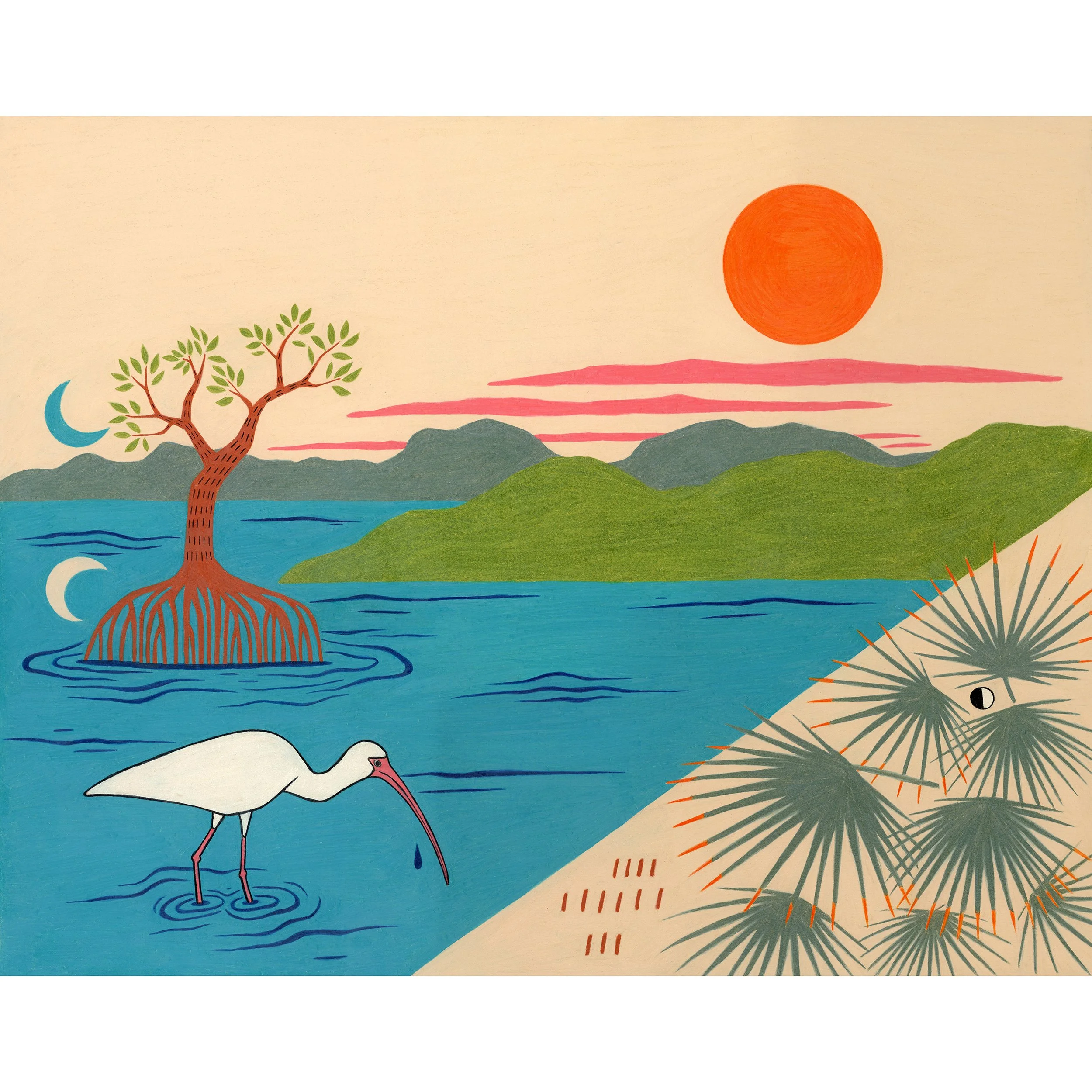 everglades_16x20.5.jpg