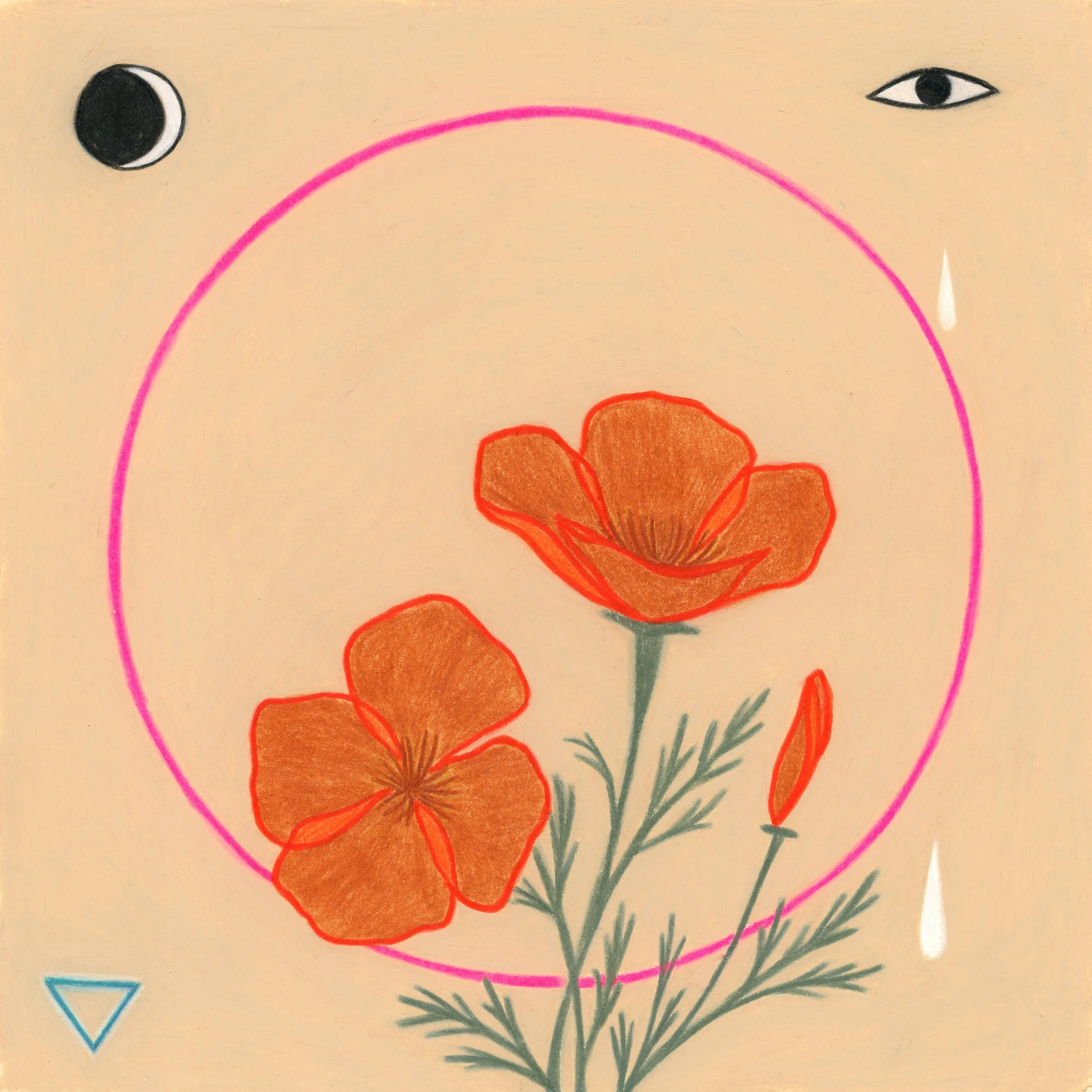 poppies3_8x8.jpg