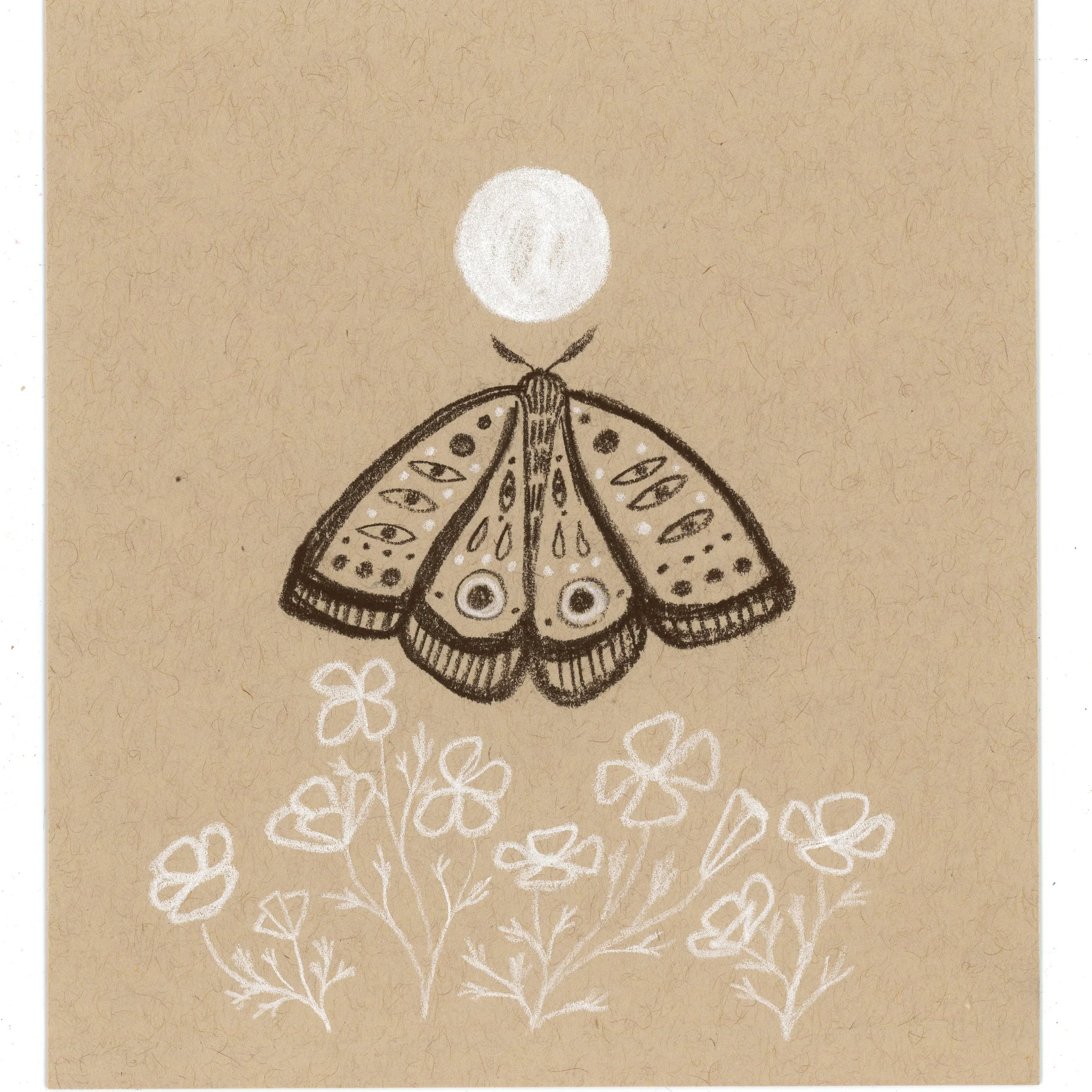 moth sketch_4.5x5.jpg