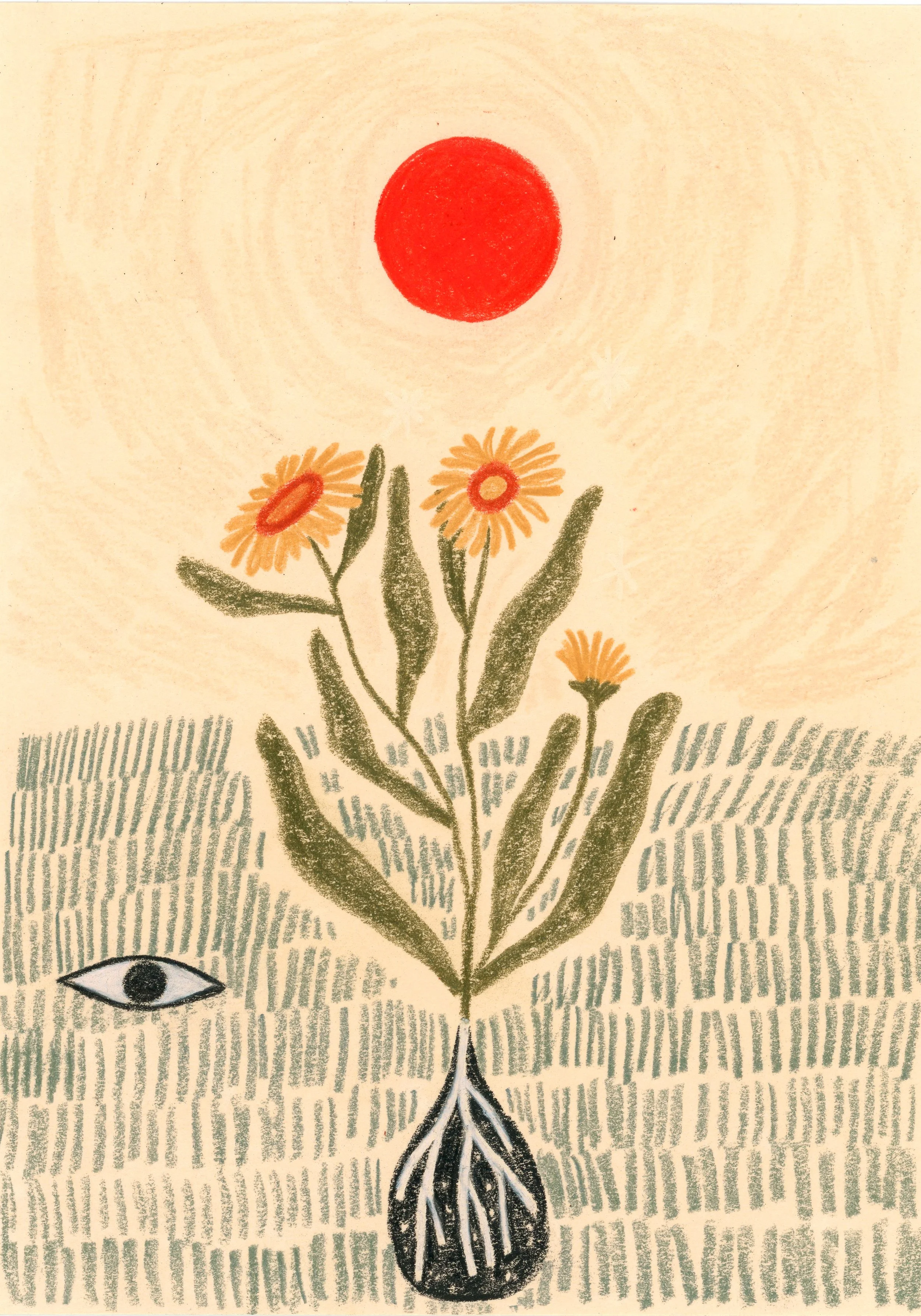 calendula_5x7.jpg