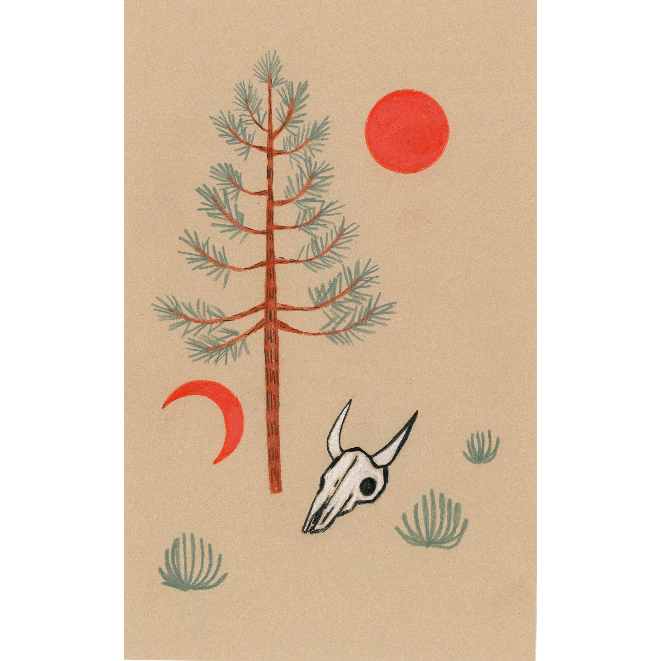 pine and skull sketch 2024 tn.jpg