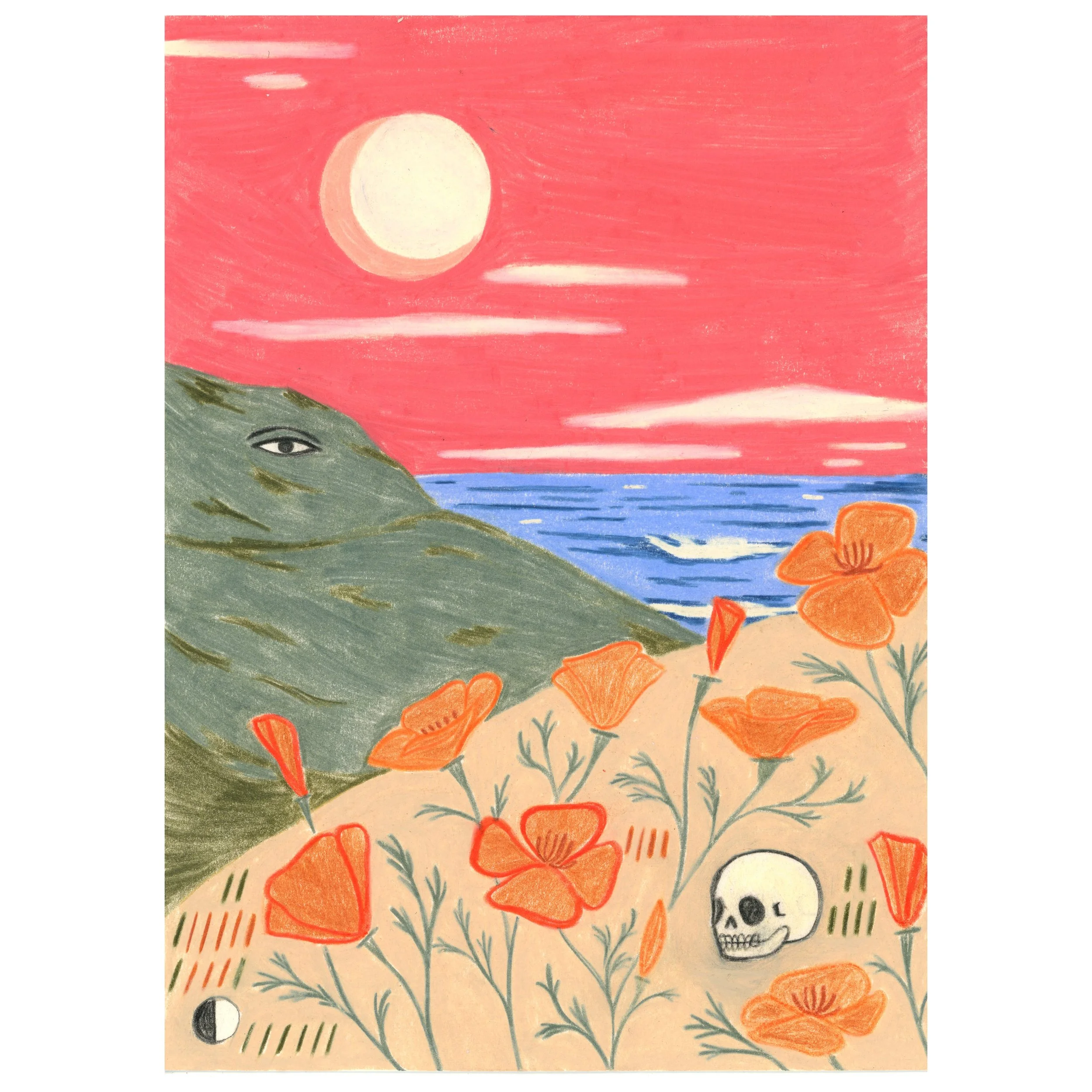 flower fields no.1_2026_5.75x8.jpg