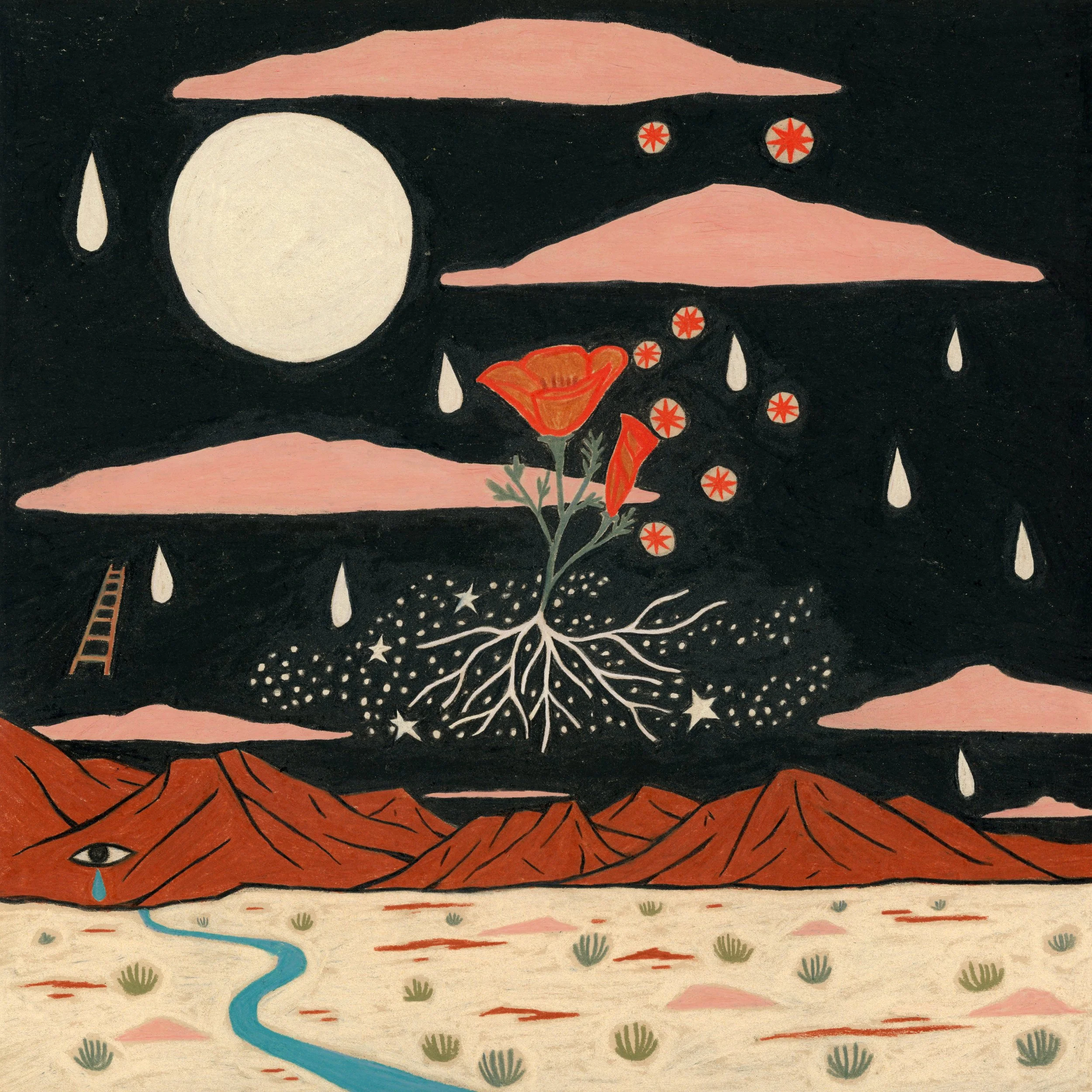 K Wickwire_Star Bodies_2024_8x8.jpg