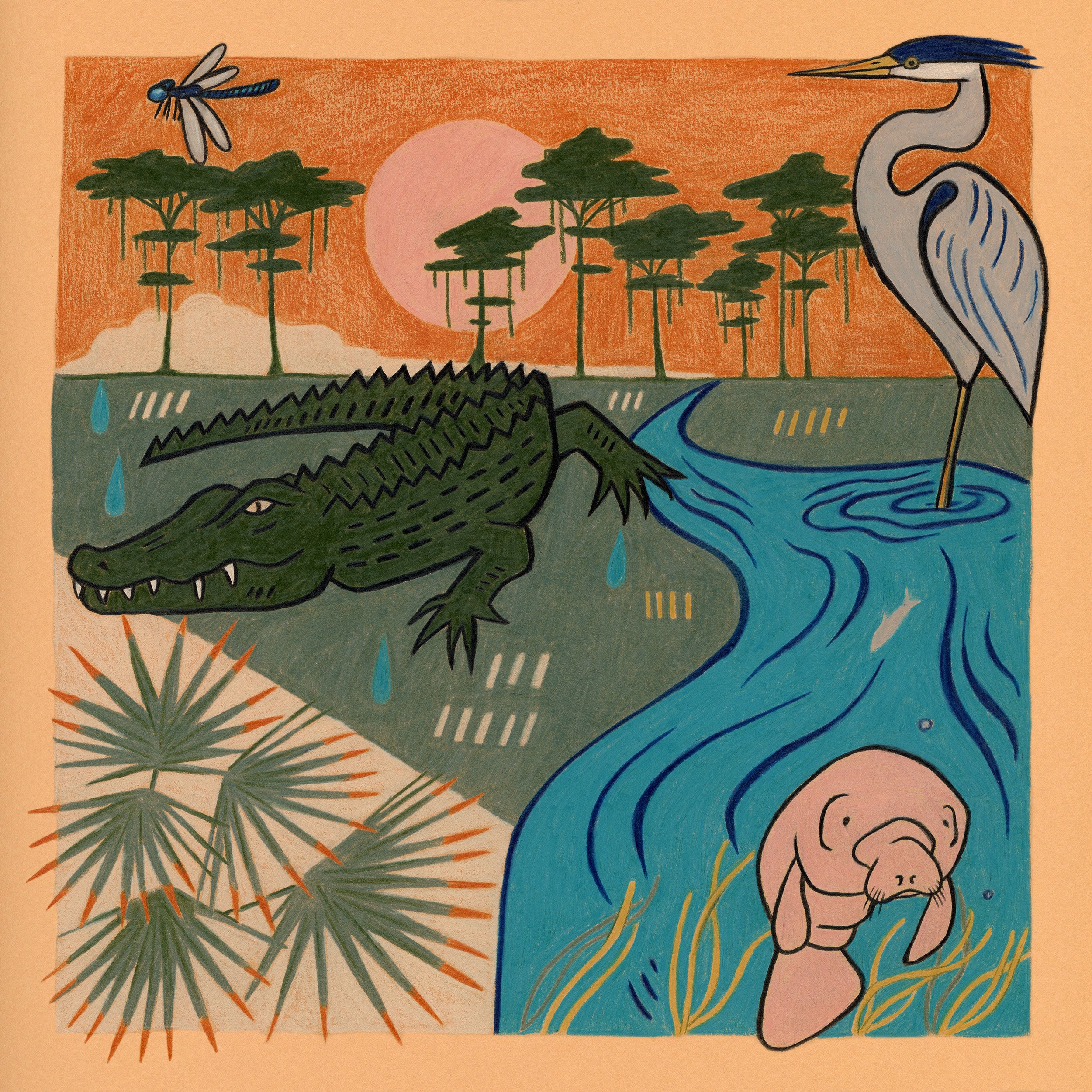 04_Everglades tn.jpg