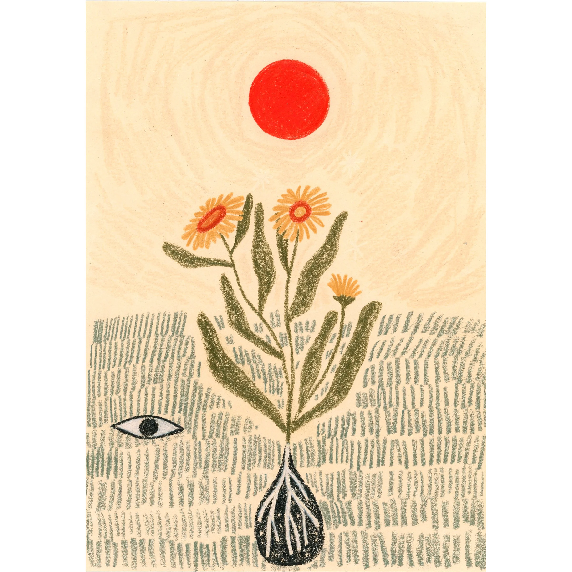 calendula_5x7 TN.jpg