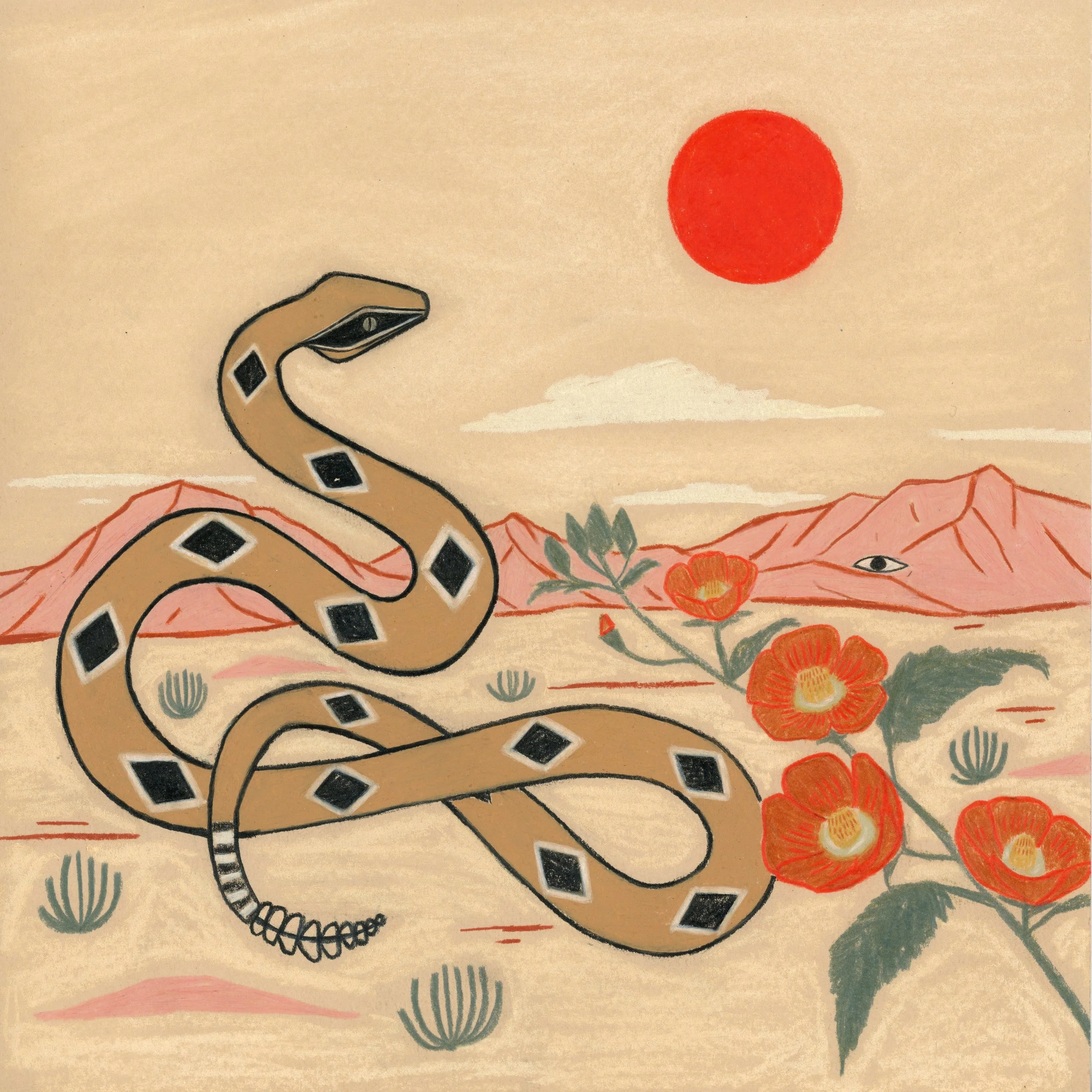 rattlesnake+globemallow study 8x8 2024.jpg