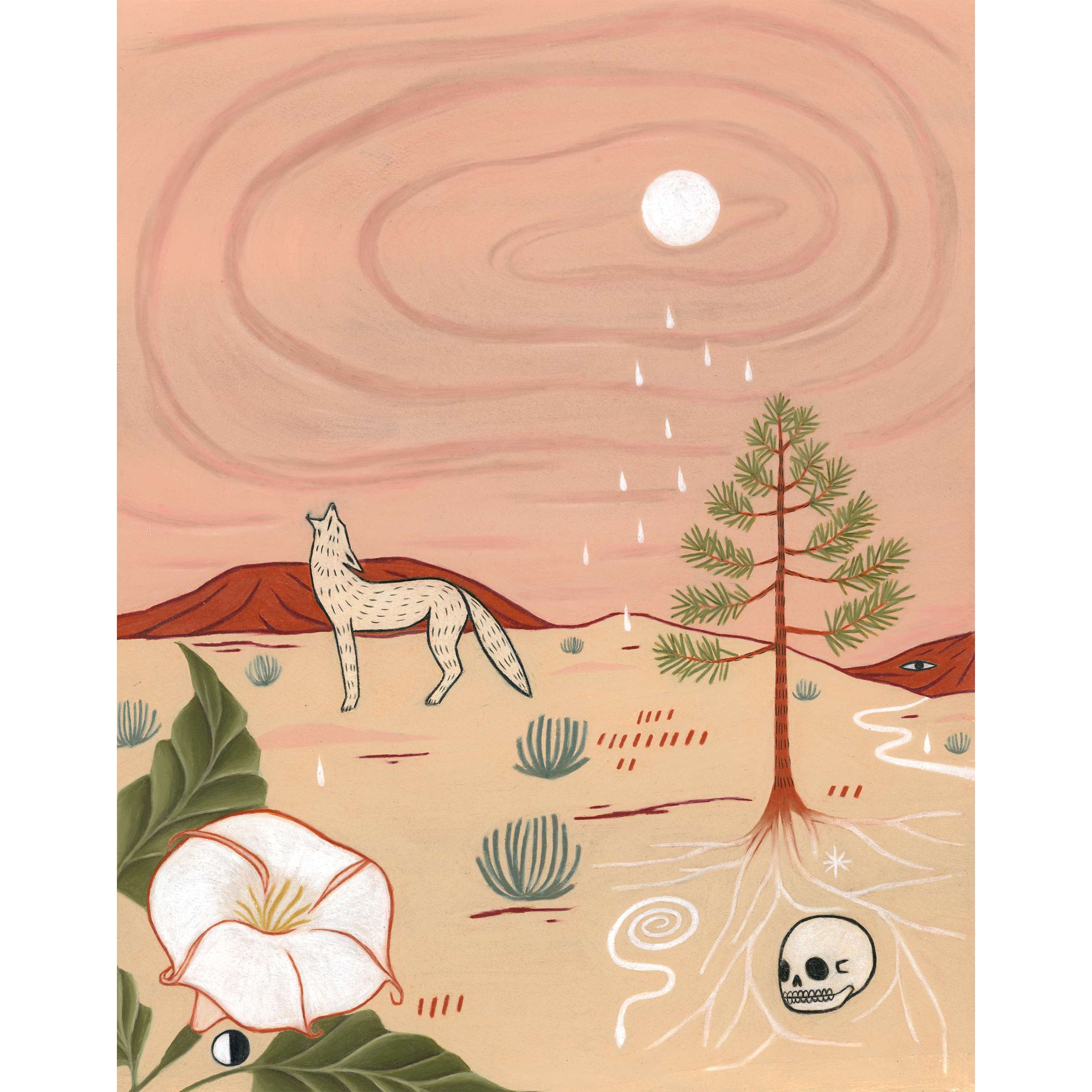 coyote+datura_2025_11x14.png