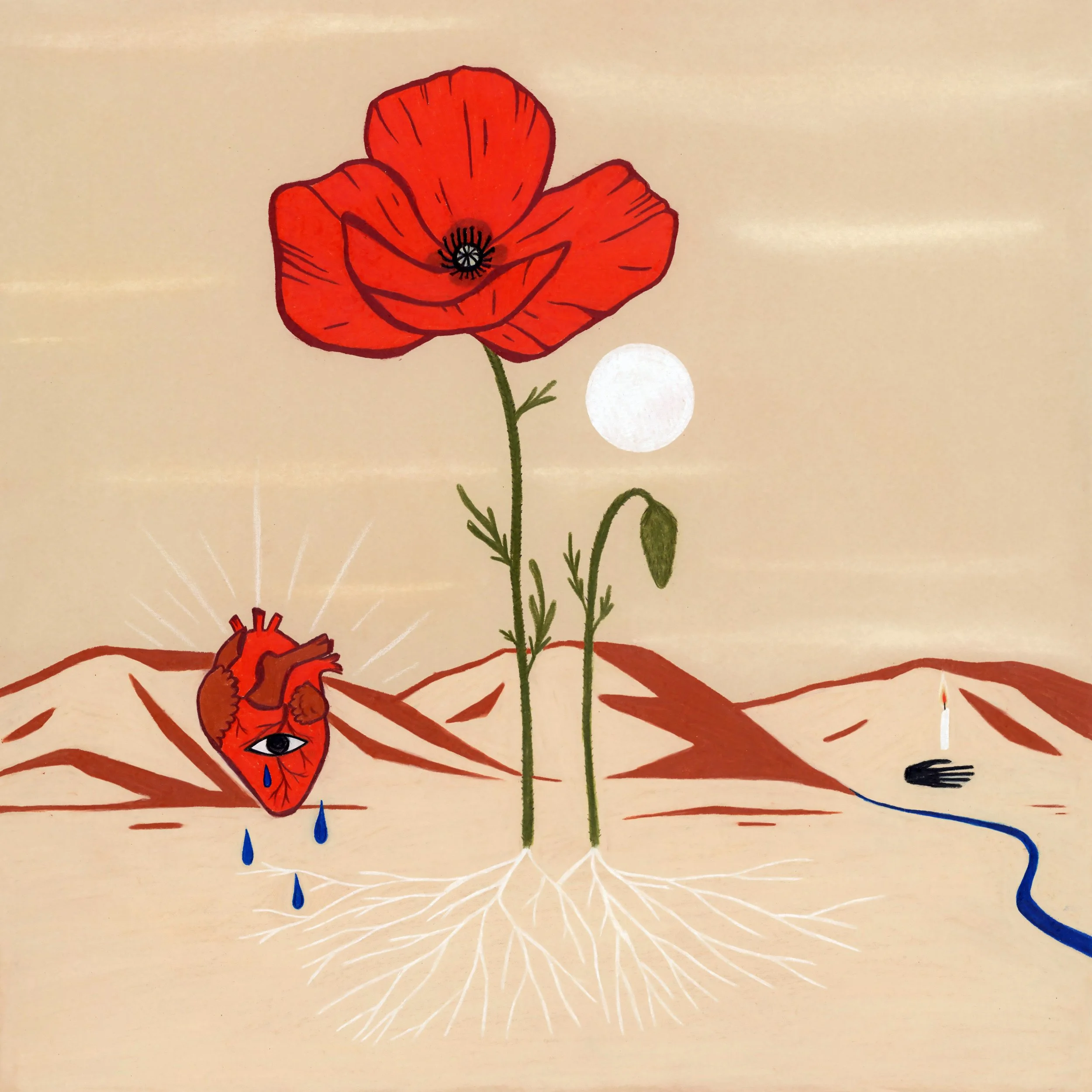 red poppy 12x12 2024.jpg