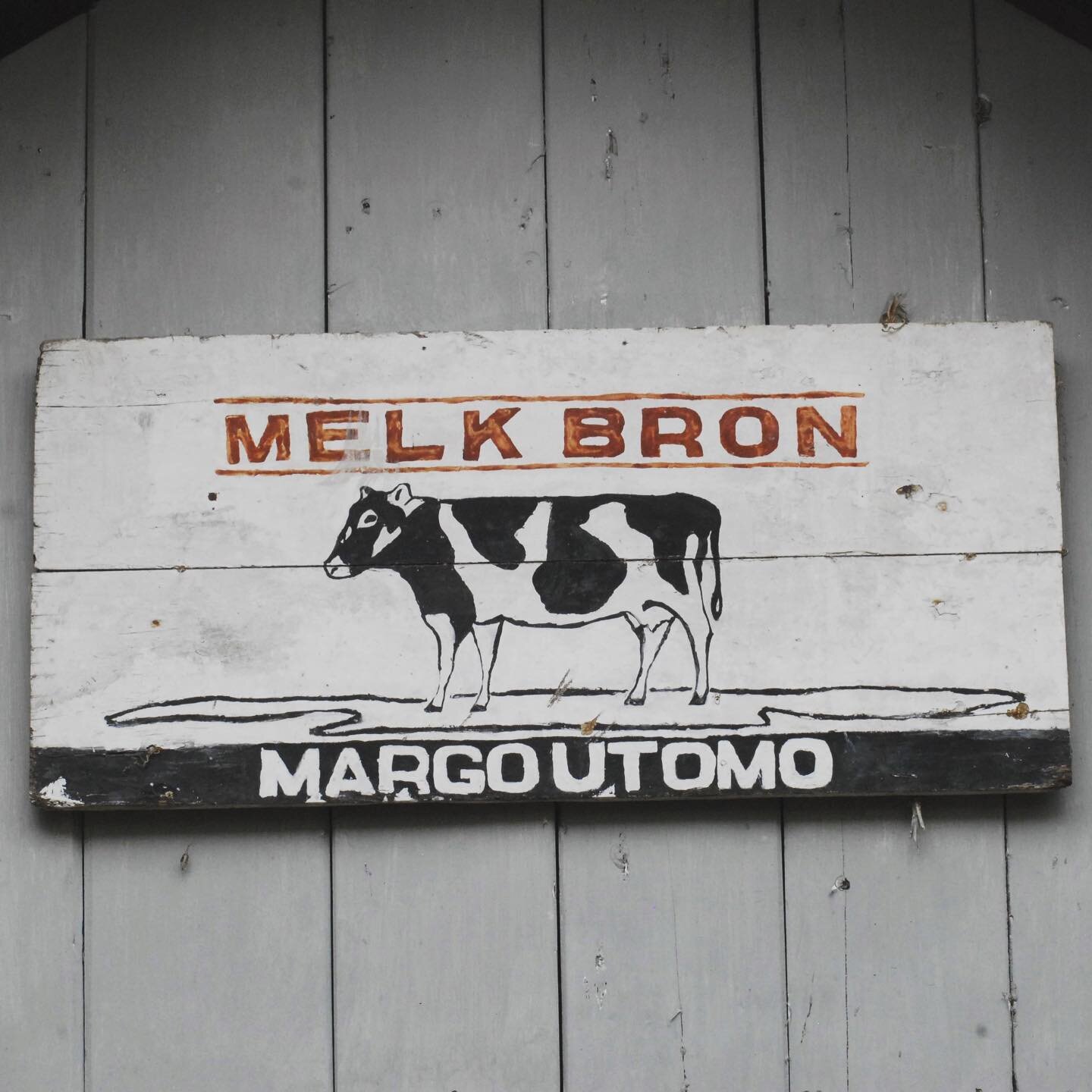 Founded in 1947, Melk Bron started with only a handful of cows which provided nutrient-rich food to the local people in Kalibaru. Now the dairy farm has more than 100 cows and distributing fresh milk to Banyuwangi, Bali and Jakarta.