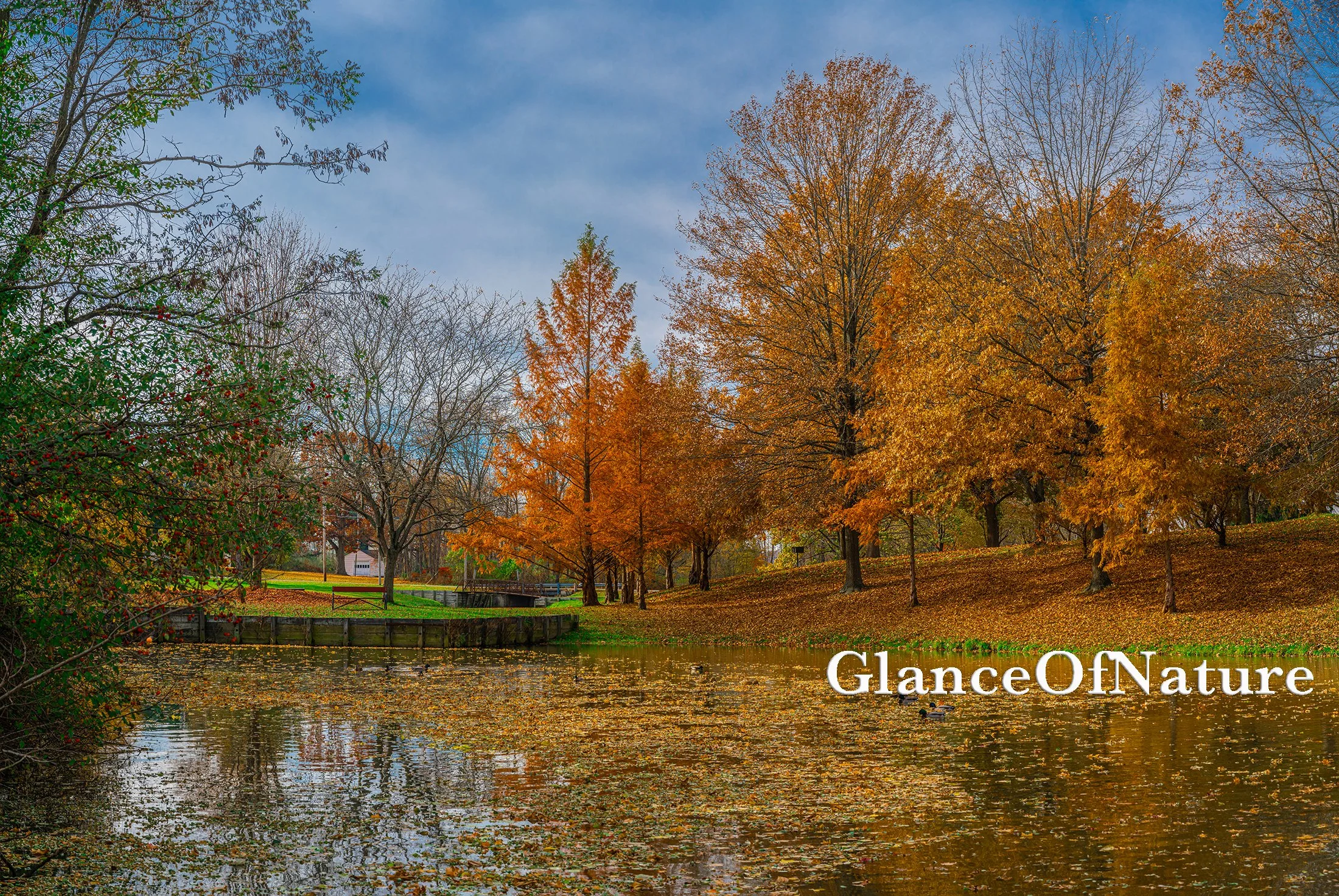 Ashland County Photos — Glance of Nature