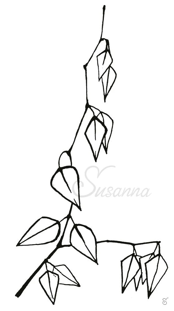 Twig2_sfw5.jpg