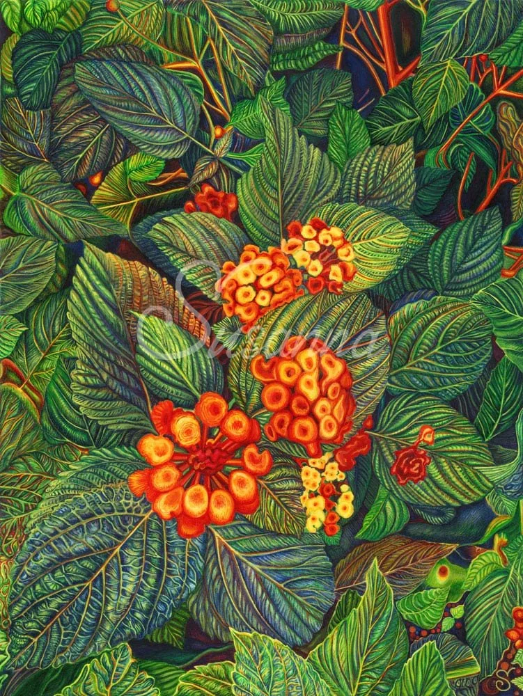 Brigh-orange-flowers_sfw6.jpg