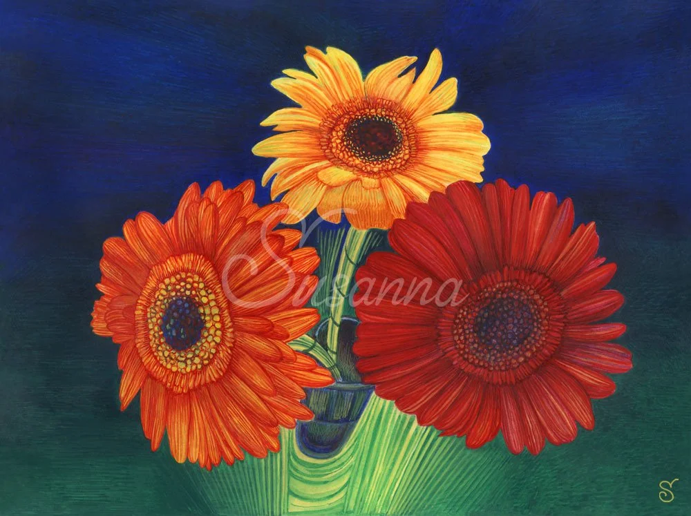 3-bright-gerberas_sfw6.jpg