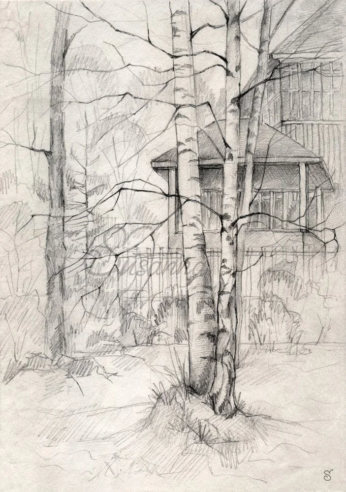 Dacha1_31.05.15_sfw5.jpg