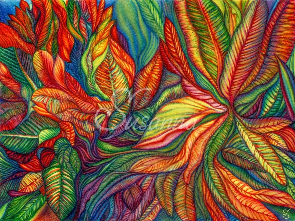 Tropical-plants_sfw6.jpg