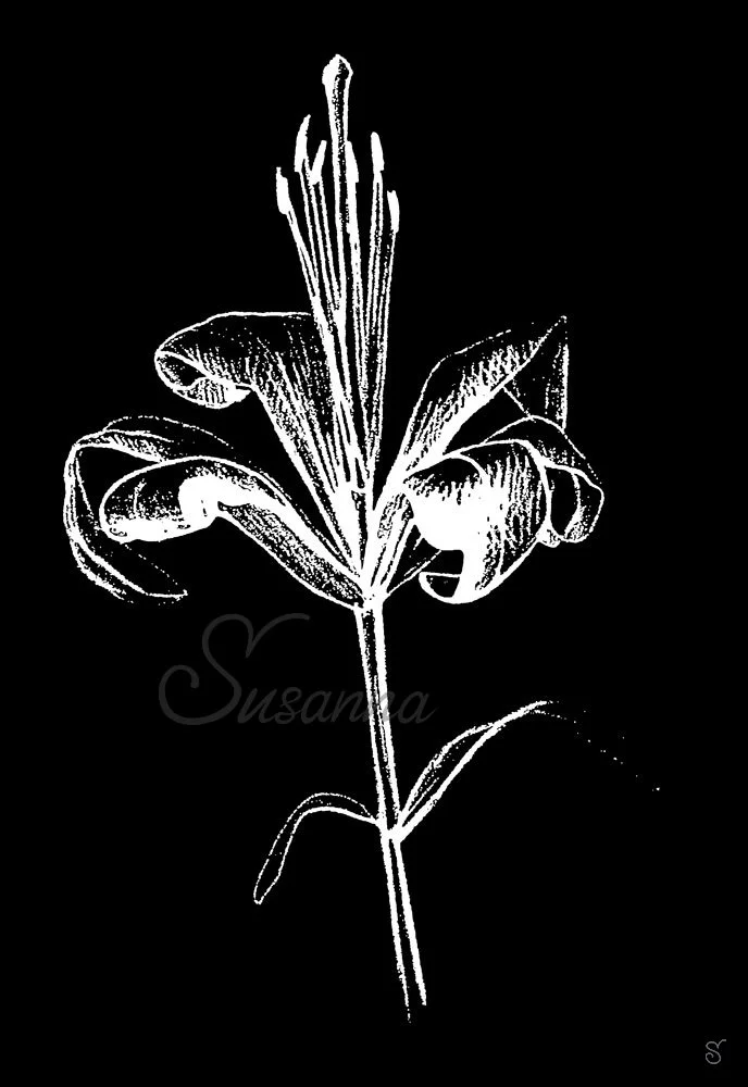 FlowKarand2_black-stamp_sfw5.jpg