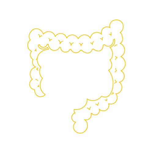 Assets sitio web-11.png