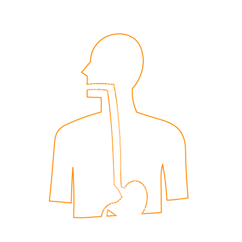 Assets sitio web-15.png