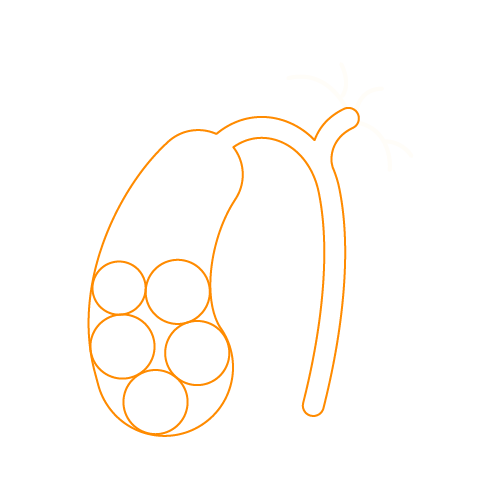 Assets sitio web-17.png