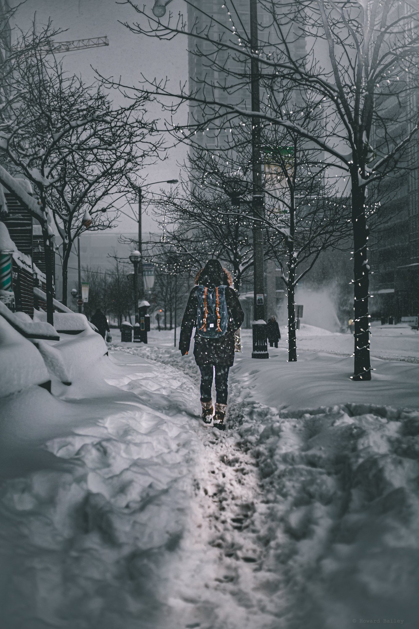 Dashing Through The Snow