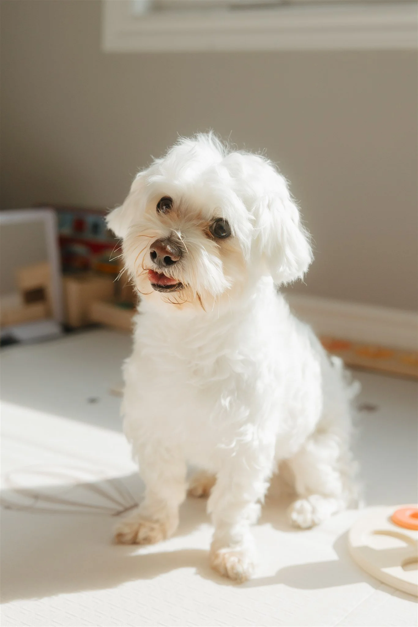 250528_1672_websize 2.JPG