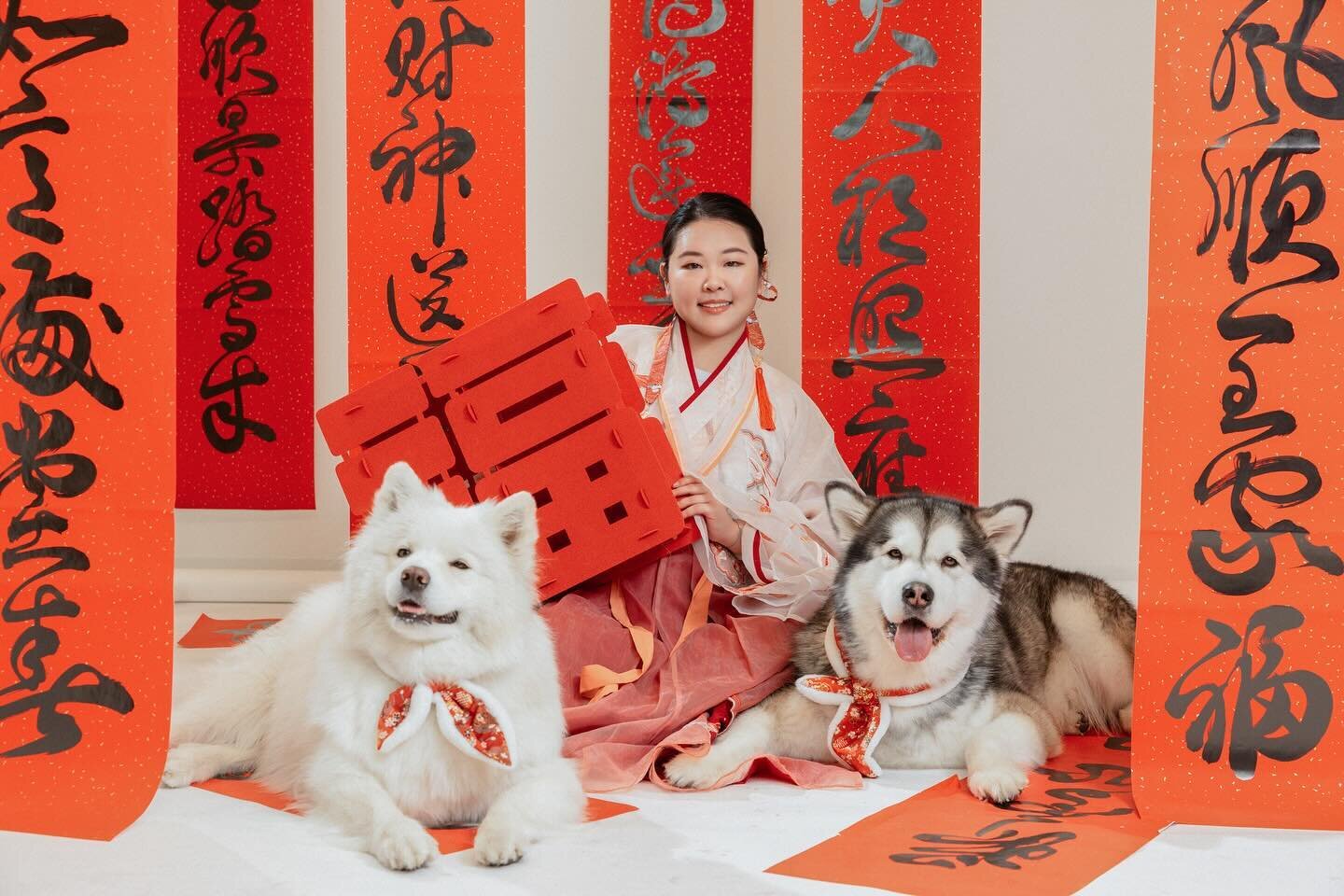 Love this set with the Chinese tradition gown (漢服 Hanfu) 😍🧧
&bull;
#torontopetphotographer #chinesenewyear #dogphotographer #hanfu