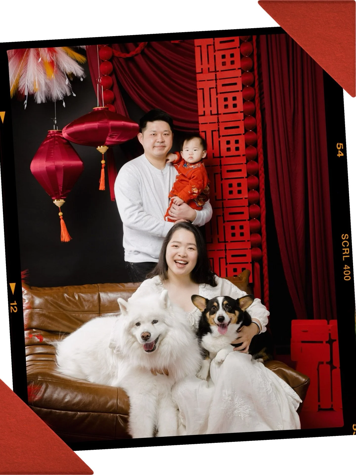 From family of 4 to family of 5. 🥰 Tudou and Kiwi got a new sibling. 
#torontodogphotographer #familyportrait❤️ #chinesenewyear2026 #yearofhorse