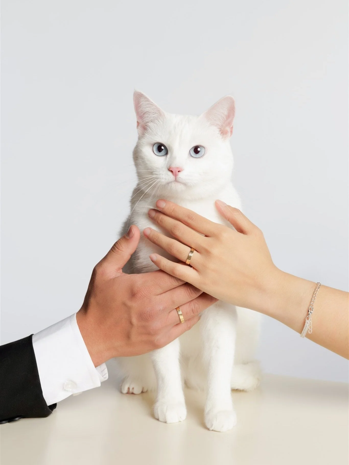 Probably the best-dressed trio we&rsquo;ve had in the studio lately. ✨ Choosing to include your pet in your engagement photos is such a vibe. We loved capturing this little family! 🤍
#catphotography #couplegoals #modernromance #torontopetphotographe