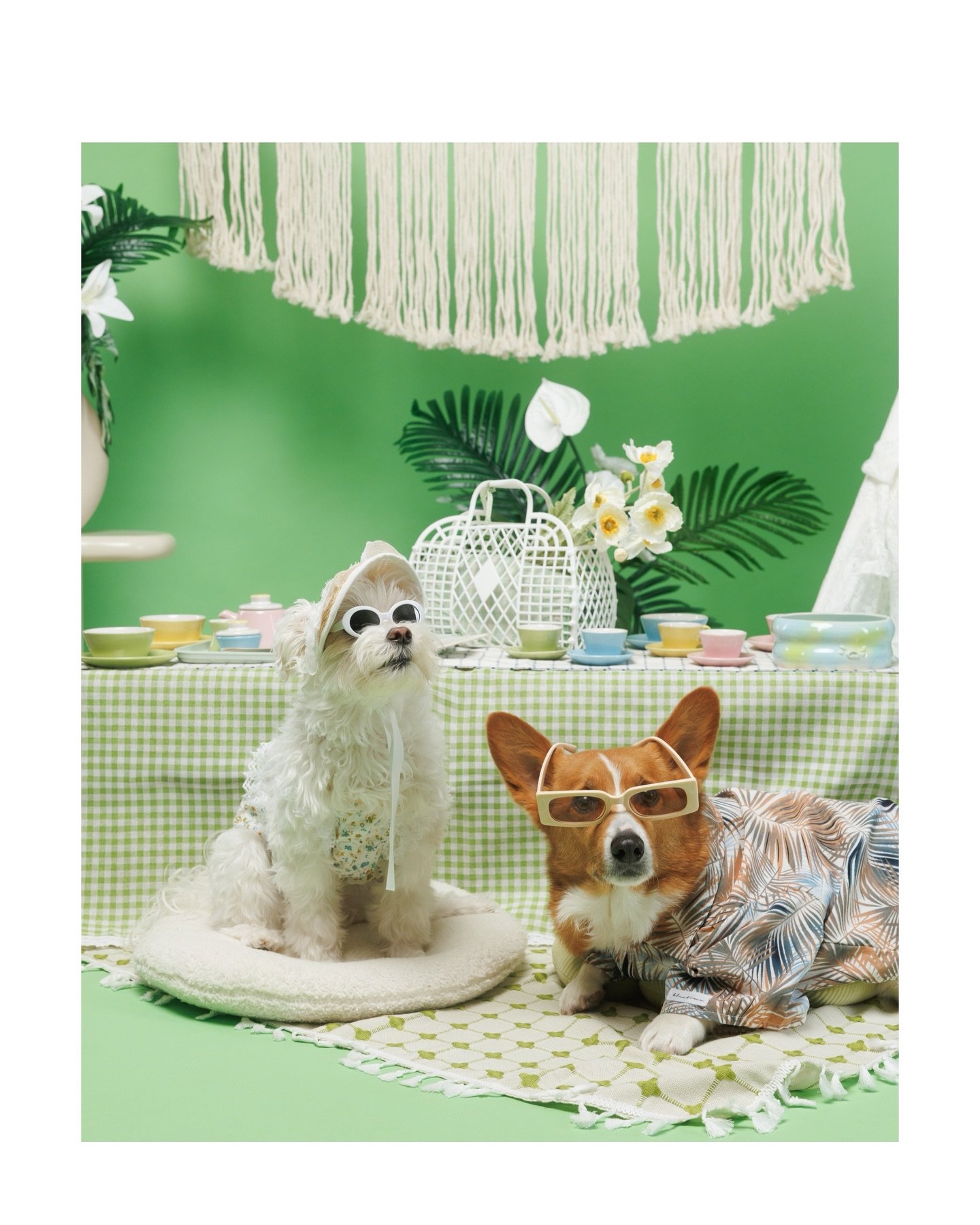 Big changes are blooming! 🌿🥹
We are so excited to officially launch our Garden Party Spring Minis! But this launch comes with a special update. After May, we&rsquo;ll be closing the doors to our physical studio space to move toward a new, on-locati