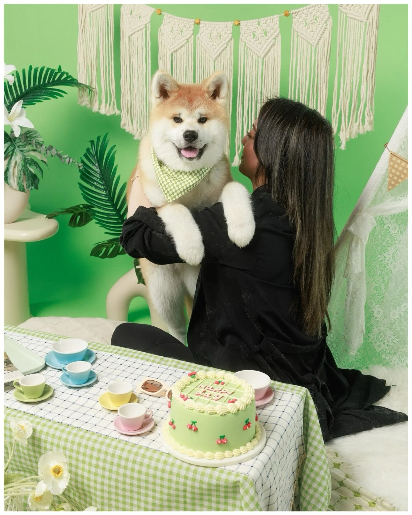 The 5 months old baby girl 💚 Molly. 
&bull;
#springphotoshoot #torontodogphotographer #akitainu #dogphotography #family