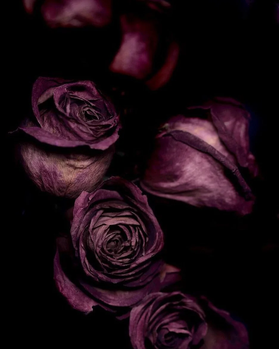 &ldquo;The voice of beauty speaks softly; it creeps only into the most fully awakened souls&rdquo;

Catch me this week @themakeandmary Thursday from 4-7pm by appointment only. 

I&rsquo;m also very excited for our monthly Tarot &amp; Tea Pop-up Satur