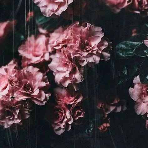 When it's over, I want to say: all my life
I was a bride married to amazement.
I was the bridegroom, taking the world into my arms. 

When it is over, I don't want to wonder
if I have made of my life something particular, and real.
I don't want to fi