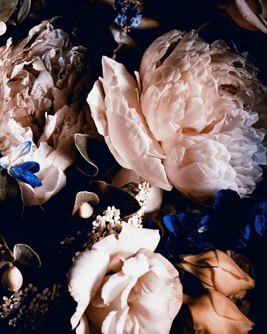 Life update as so many have reached out. I have landed safely in Oceanside California. I took the month of July to acclimate, slow, ease into my new reality. 

I very, very much miss my community, but l absolutely made the right choice and am looking