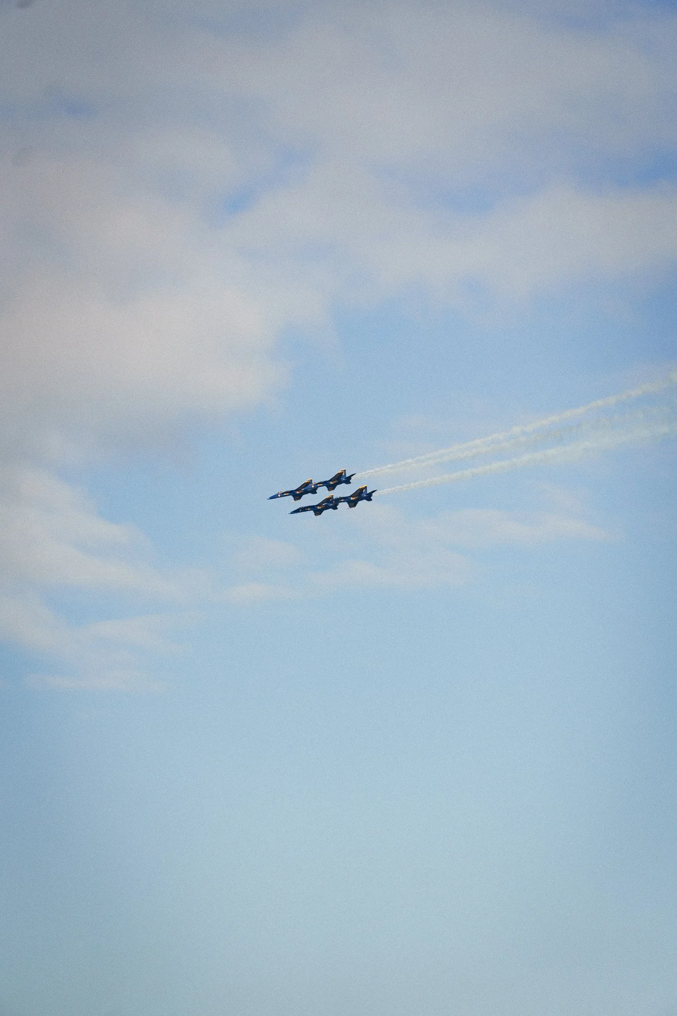 DSC06814.jpg