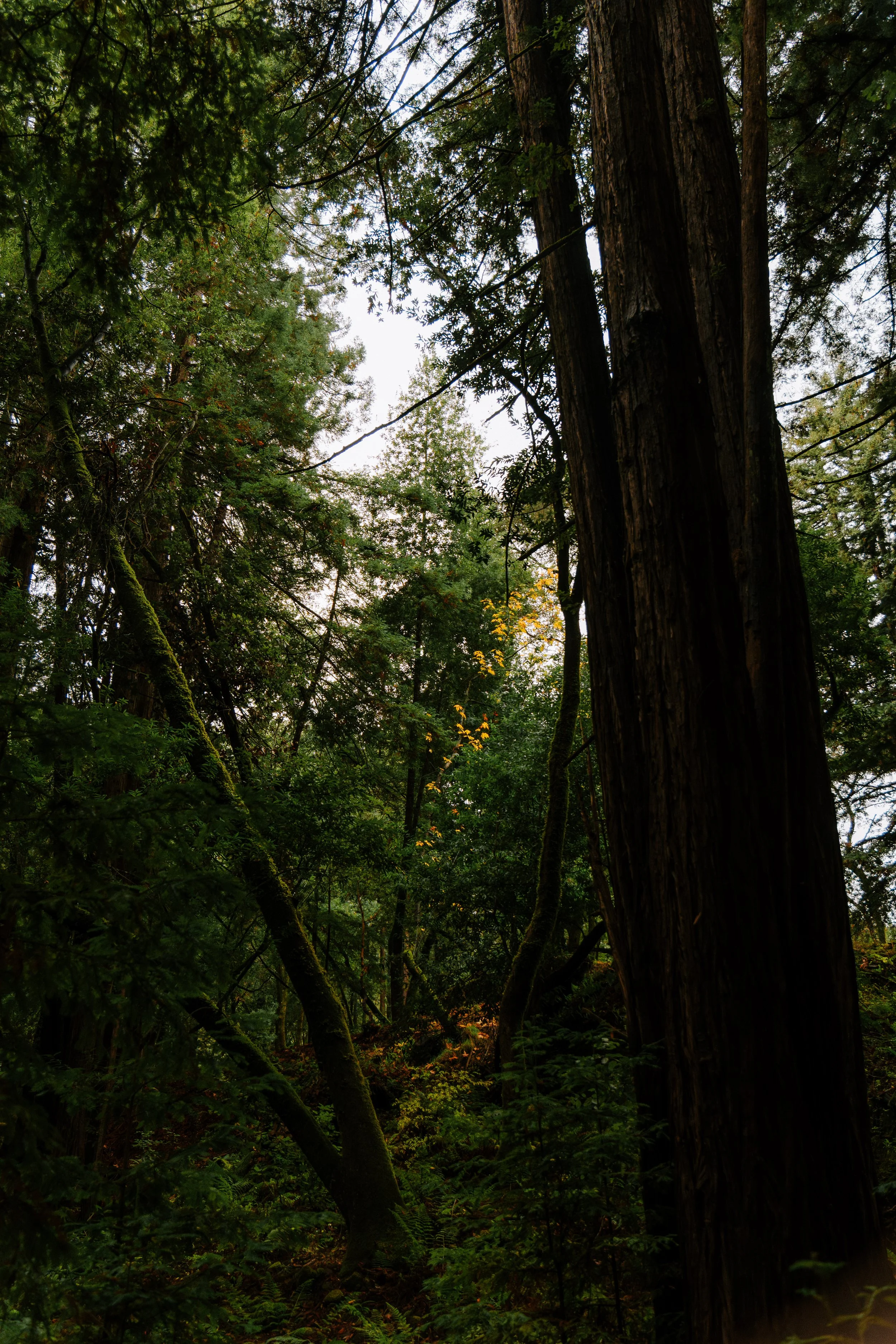 111525_BUI-05.jpg