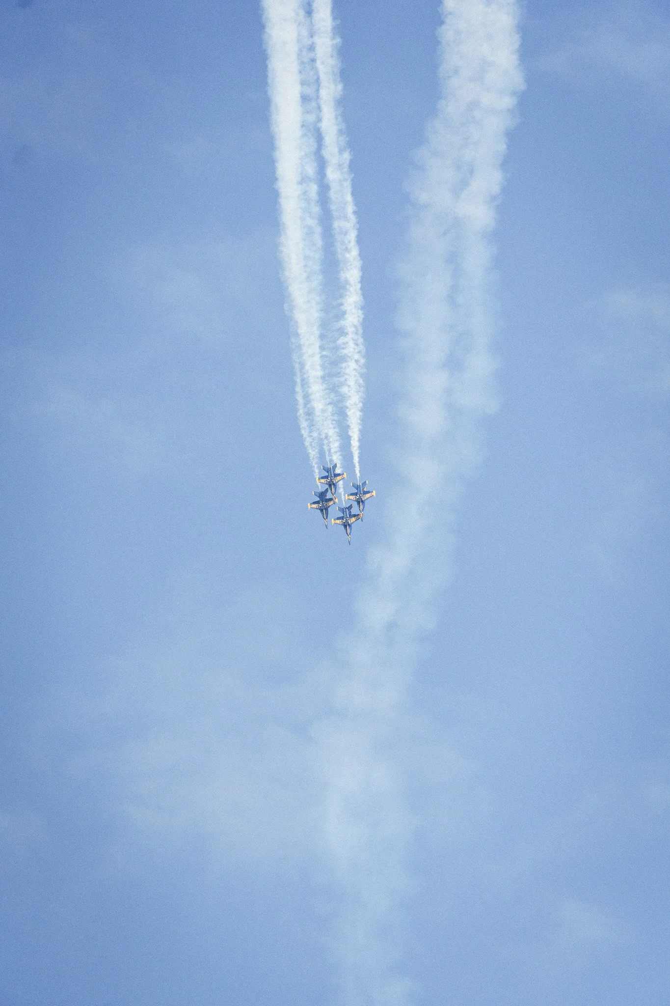 DSC06862.jpg