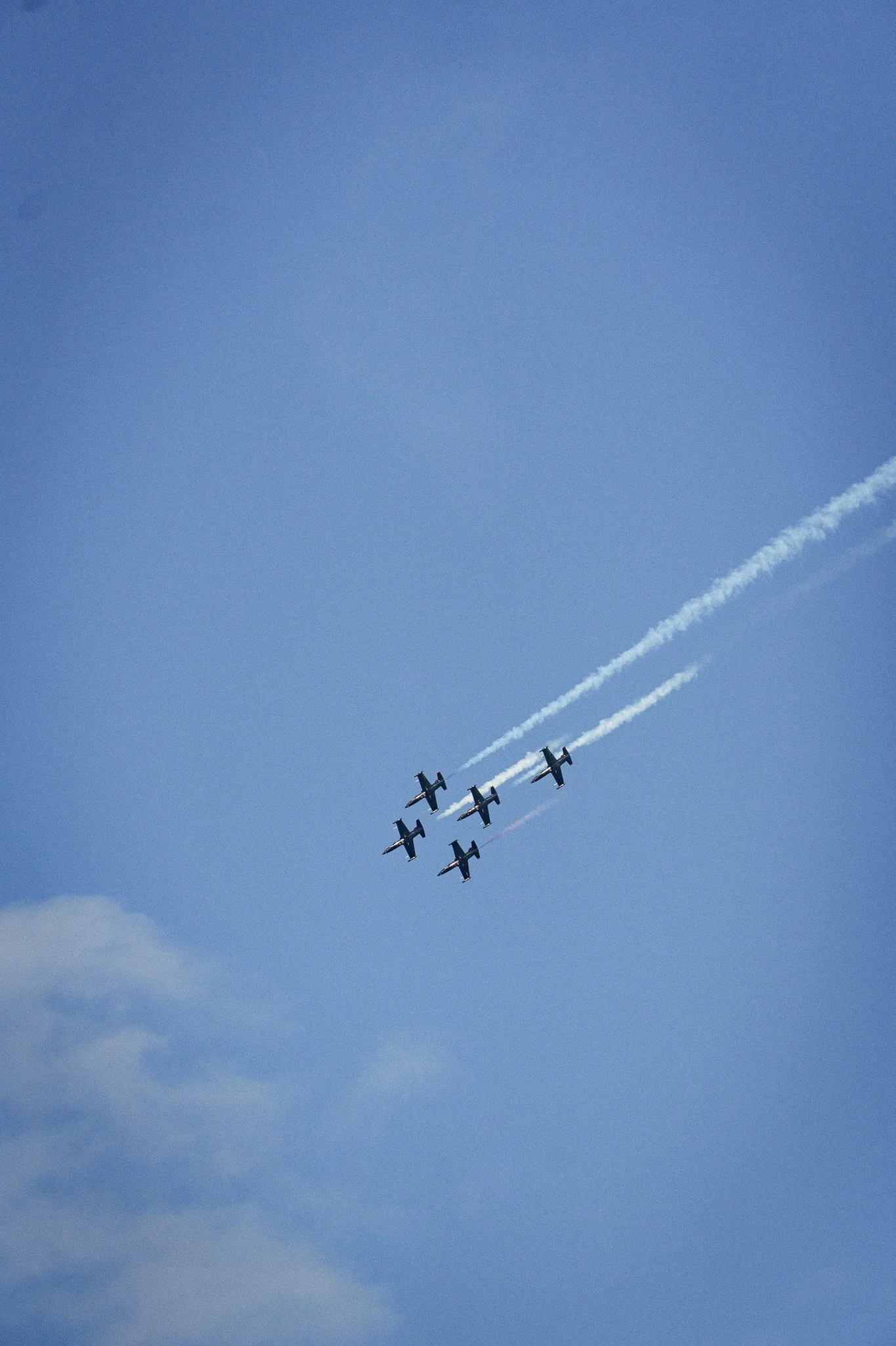 DSC06339.jpg