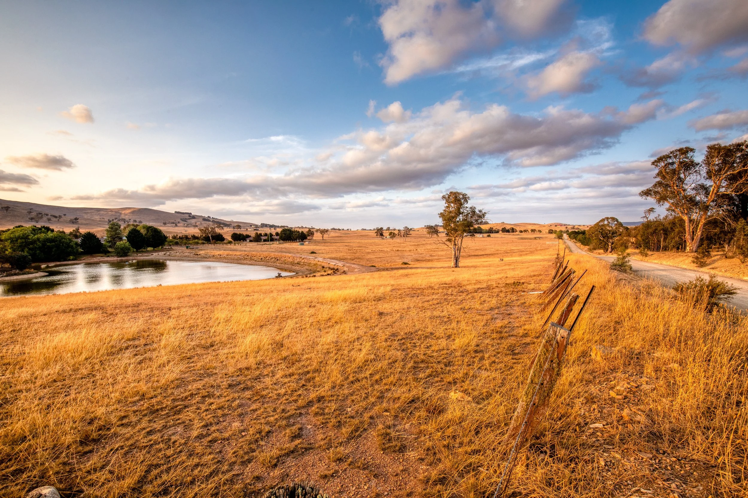 Bridging the Gap: Regional & Rural Speech Therapy in Australia