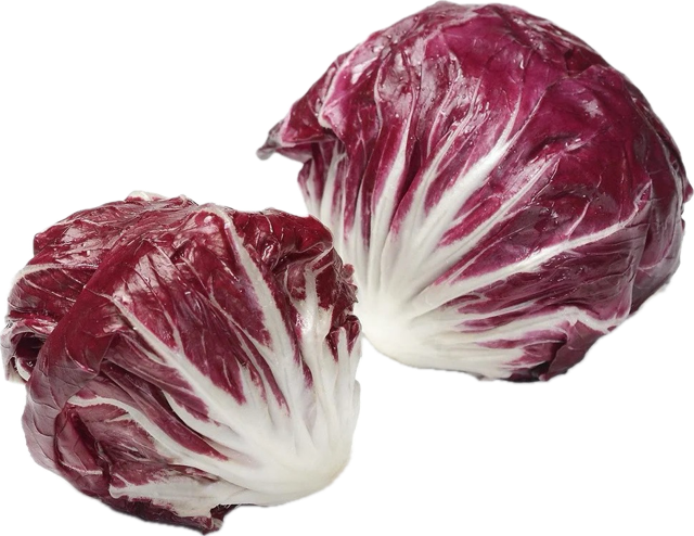 Radicchio - Palla Rossa Melot (6)  (For APRIL packs)