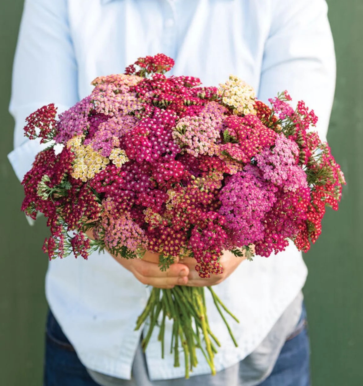 Yarrow - Flowerburst Fruit Bowl